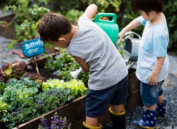 None